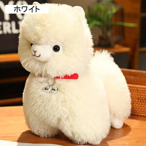 ApJD ʂ  A r ApJʂ   YQ ё ʂ VM[ n 35cm u q̓ ޏ ̎q FB a j Mtg