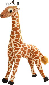 �L�����ʂ������ �� ���A�� 48cm �����܂��� �A�j�}�� ���킢�� �L�������f�� �l�` �������� �D������� ���� ���킢�� �q���p �G�� �B�e���� �u�� �I�V���� ���� ���j�� �����O�b�Y ����