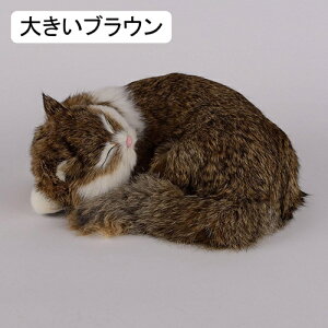 A Lʂ ˂ u   lR  ё ӂӂ f VM[  ʂ 킢 LbY ԗp av[g  Be 