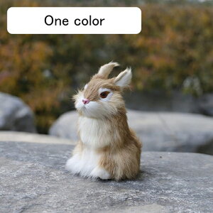 ʂ ETM u { A Aj} rbg oj[ ybg  CeA AETMʂ Be qǂ 14*10cm ԗp  a v[g 