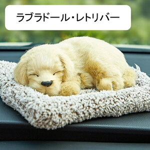 Ԃ̑  ʂ uh[Ego[  ԗp {ɖ錢̂ʂ Y  ԓ C    u  ItBX  CeA av[