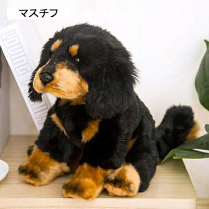 ���u���h�[���ʂ������ �������� �h�b�O ���A�������ʂ������ �u�� �C�k �������� ���������ʂ������ �I�I�J�~�D����� �����p ���Q �����O�b�Y ���킢�� �q�ǂ� �� �f�X�N �C���e���A