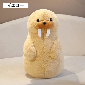 ʂ yM ZCE` A   YQ s[ 35cm p  Q NbV ObY Cm   Ԃ FB ޏގ Ce