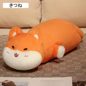 ~^NbV ʂ Č 65cm  p  Ζ lbNs[ s[ 薍 薍 ܂  Aj} wbh{[h  Q  