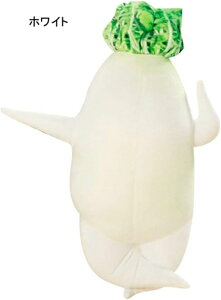 卪   ʂ ZNV[p 卪 YQ NbV  120cm-45cm CeA bNX}N Q a Əj w   킢 Wbv 