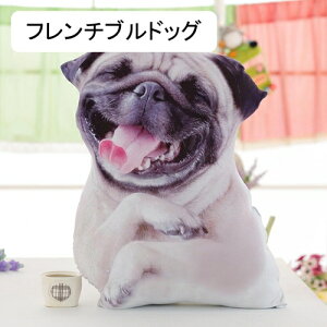 �D����� �ʂ������ ���A������ �� 50cm �N�b�V���� ����p ������p �ʔ��� �{���������� �w������ ���� �A�j�}�� �_�炩�� �������� ���蕨 �a���� ���p�I ���蕨 ������ �v���[���g