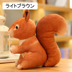 D Il X ^ { A 3D  h[ ߋ YQ ˂ނ˂ Ƀ\tg ӂ 킢 CeA xbh[ Mtg qp Ԃ ybgp ItBX