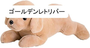  킢 ʂ  S[fEgo[  YQ Z[^[ GG l` q ̎q  n A  Aj}Y a 蕨 v[g 40-8