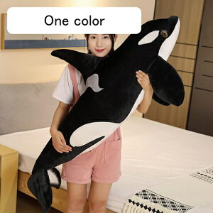 V` ʂ  傫  130cm  QY D QY ӂӂ NbV  Cm V`ʂ v[g Mtg 蕨 a j C