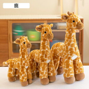 �D������� �L���� ������ ���Q�� �Y���Q�� �L�����N�^�[ �������� ���A�� ���Q�T�|�[�g ������� �_�炩�� ���� ���͋C��� �􂦂� �K�[���t�����h �{�[�C�t�����h ��l��炵 �ʐ^�B�e �e