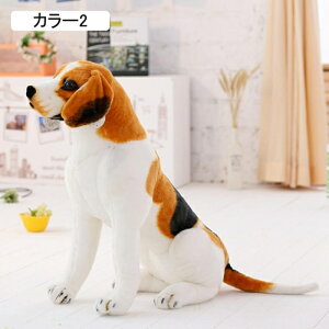 ʂ  A     _炩 D ܂ GG D ԗp X  NX}X v[g a