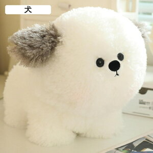 ���������� ���� �r �D����� ���Q�N�b�V���� ���� ������ ���� ���e�� ���炩�� �ߋ� �q������ ���Q�T�|�[�g ������� �􂦂� �K�[���t�����h �M�t�g �X���� �C���e���A ��l��炵 �e