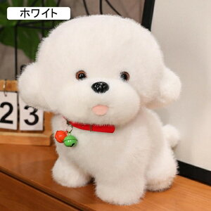 D R q܂ QNbV LN^[ LN^[ ߋ \t@[ {fB 킢 tt INS  􂦂 q ޏގ a  蕨