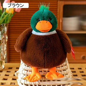 D Aq  Q YQ Aj} _bN ߋ Q NbV 킢 tt INS @\ n K[th {[Cth l炵 ʐ^Be eq