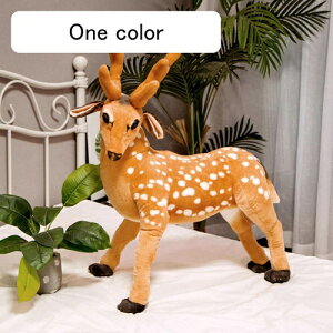 ʂ  A     _炩 D ܂ GG D ԗp X  NX}X v[g a