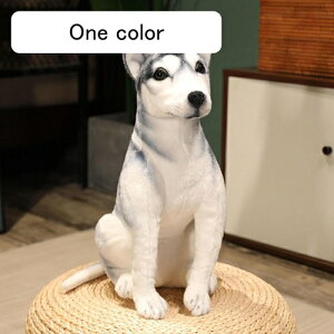 A  nXL[ ʂ  CkD   Q NbV  _炩  X CeA ӂӂ 傫 ʔ j a 蕨 Mtg N