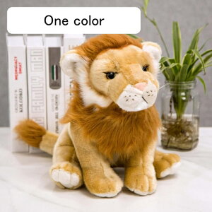 ʂ CI  A   40cm ӂӂ NbV D QY   v[g Mtg 蕨 a j CeA X