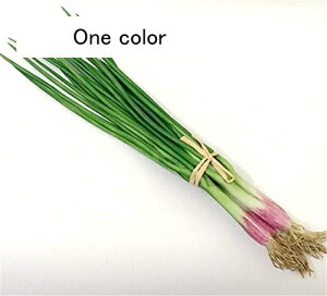 tFCNt[h lM ܂Ŗ{  Vbg tFCNC~e[V HiTv IuWF u  { ͌^ CeA fBXvC ܂܂ wZ s  (4