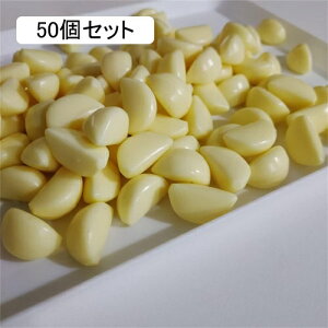 HiTv ɂɂ Hi͌^ tFCNt[h ܂Ŗ{  tFCNC~e[V IuWF u  { f ͌^ CeA fBXvC ܂܂ wZ s 