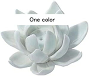   F @̉  zCg CeAdpi El̎ |pi pi u  a ÓT A}ObY i F 蕨 v[g