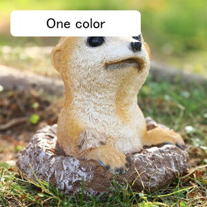 ̒u ~[ALbg 킢 K[fObY  ~[ALbg Aj} I[ig  K[f CeA u  K[f}XRbg IVȒu  Ԓd Gݏ