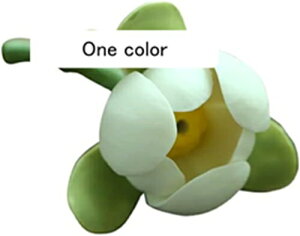 AJVẢ    u 퐻 CeA    ؓ rO  a Q ̃ybg