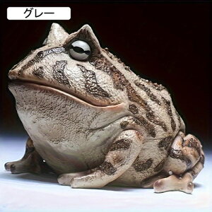 K[fjO JG K[fIuWF A ^ K[fu JCC AEghA  I[ig  h ϋv Jg[G |pi CeA  fR[V  O