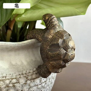 K[fjO  J K[fIuWF O̒u JCC ~͏  I[ig  i h ϋv ~jK[f   | CeA  O  one s