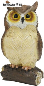 K[fjO  tNE K[fIuWF A  O̒u JCC  h ϋv |G AEghA   CeA i O̒̑ tNE one si