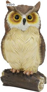 K[fjO  tNE K[fIuWF A  O̒u JCC  h ϋv |G AEghA   CeA i O̒̑ tNE one si