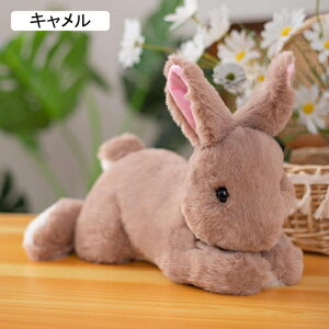 �D����� �E�T�M ������ �ʂ������ �e �������� ���A�� �����܂��� �x�r�[ ���̎q �J���C�C �G���G�� �L���[�g �u�� �X���� �_�炩 ���� �˂ނ˂� ���ӂ��� �t���t�� �������� ������� ��