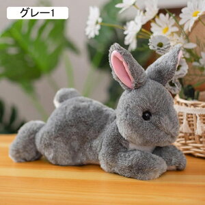 D ETM  ʂ e  A ܂ xr[ ̎q JCC GG L[g u X _炩  ˂ނ˂ ӂ tt   