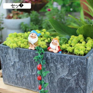 K[fjO ~͏ h[t K[fu 킢   IuWF h ϋv Jg[G AEghA   | CeA x_ Op Zbg one size