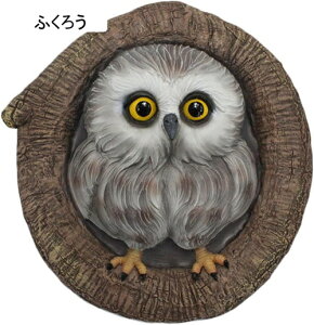 K[fjO  tNE Ǌ| K[f u  A c  I[ig u h O Jg[G |pi CeA H|i O̒̑ ӂ낤 17