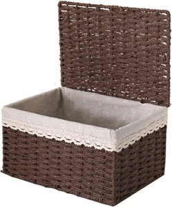 [{bNX ^ [P[X 30*20*15cm ^ AWA [ ِ ^oXPbg [ G k P[X ᔠ    ҂  傫 