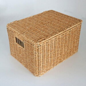 [{bNX  ҂݂ Wt/WȂ ho [oXPbg [ ^ [JS  Gݎ[ [P[X 36*27*21CM k  @\ oXPbg  y