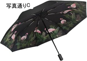 P ϕP P ܂肽ݓP JP 8{ Jp OՒf ϕ  P[X ʊw ʋ [|[`t ܂肽ݎP ^b` Y fB[X P