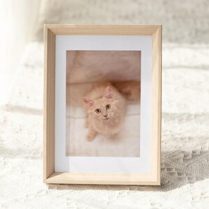 �ʐ^���� �t�H�g�t���[�� �ʐ^���� ������� ���ސE �v���[���g ������ �����L�O �a���� �A�N���� �a���L�� ���킢�� ���� �o�Y ���j�� �����o�� ���� ���ꂢ ���킢�� �ʐ^�� �t�H�g�t���[