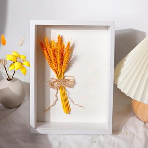 �t�H�g�t���[�� �L���r�l �ʐ^���� ������� ���̊z �{�b�N�X�t���[�� �z �[��50mm 12.7*17.8cm �{�b�N�X�t���[�� �ؐ��t���[�� �p�X�e���J���[ �z�� �A�[�g�{�b�N�X�t���[�� ���̊z