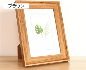 �t�H�g�t���[�� �n�K�L�T�C�Y L������ �ؐ� �ʐ^���� ������� �V���v�� �i�`������ �|�X�g�J�[�h �Ǌ|�� ��� �z�� �טg �X���� �c �� L�T�C�Y 1���� �V�R�� �k�� �G�͂��� �C���X�g �z