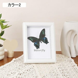 �t�H�g�t���[�� MDF�� �ʐ^���� ������� �ʐ^�t���[�� �n�K�L�T�C�Y �J���[1 10.1*15.2 �����` �k�����C���e���A ������ �ϋv�� �Ǌ|�� �z�� ������ �I�V���� �|�X�g�J�[�h �V���v��