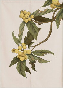 ������ �h�A�J�[�e�� �Ԏd�؂� �J���[ �J�[�e�� �Q�� �ƒ�p �g�C�� ������ �L�b�`�� �̂�� �a�� �� �ԕ� �N���V�b�N ���g�� �K�i �ډB�������O�g�� �Ռ� ���r���O ���� ���H�X A90*12