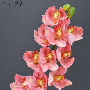 ͂Ȃ    110{ nNN ̓Mtg LO  { sv  t[ 뉀 Ԍ|p v[g  iX ԑ VN