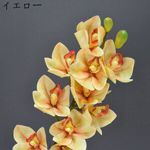 ͂Ȃ    110{ nNN ̓Mtg LO  { sv  t[ 뉀 Ԍ|p v[g  iX ԑ VN