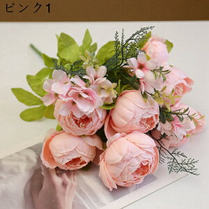 ԑ  {^ 131Zbg CeA ʐ^Be j  뉀 Ԍ|p  a ̓Mtg ͂Ȃ  hCt[ ~ju[P t[ lHϗtA