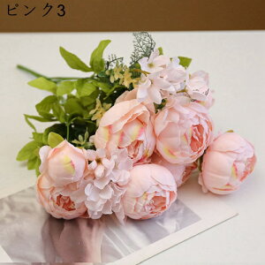 ԑ  {^ 131Zbg CeA ʐ^Be j  뉀 Ԍ|p  a ̓Mtg ͂Ȃ  hCt[ ~ju[P t[ lHϗtA