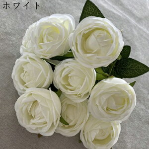 coL ԑ ͂Ȃ 218{  Ԍ|p j v[g  ʐ^Be p LO ̓Mtg }`bN  VN  { u[P  F