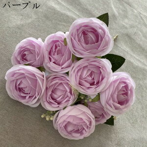 coL ԑ ͂Ȃ 218{  Ԍ|p j v[g  ʐ^Be p LO ̓Mtg }`bN  VN  { u[P  F