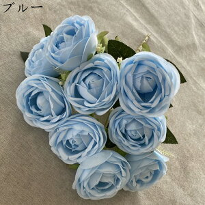 coL ԑ ͂Ȃ 218{  Ԍ|p j v[g  ʐ^Be p LO ̓Mtg }`bN  VN  { u[P  F