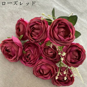 coL ԑ ͂Ȃ 218{  Ԍ|p j v[g  ʐ^Be p LO ̓Mtg }`bN  VN  { u[P  F